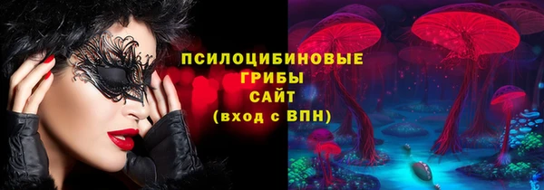 спайс Алексин