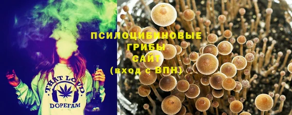 спайс Алексин