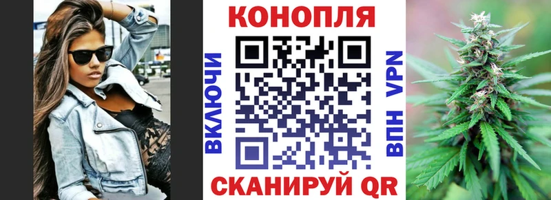 Конопля гибрид  Алушта 